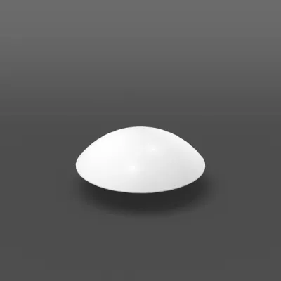 RZB Ersatzglas 05-211006.022 | Abdeckung Glas | D300 mm H96 mm | opal seidenmatt | symmetrisch 120° | weiß