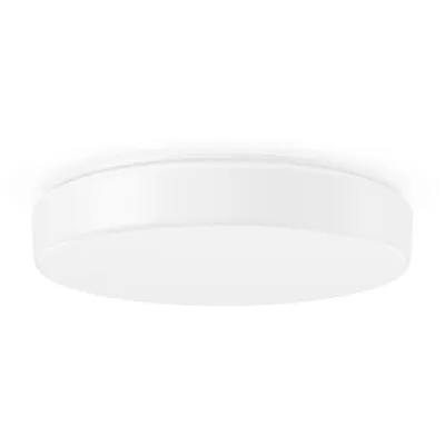 RZB LED-Decken-/Wandleuchte 4000K D460 H93 PC 311611.002.6