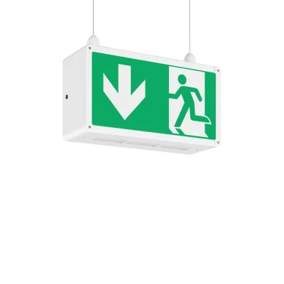 RZB LED-Notleuchte 651347.004.1 Pendel Rechteck 360