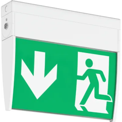 RZB LED-Notleuchte 652219.002 GSUN D | Rettungswegkennzeichnung | 2W | 4000K | IP30 | 24m | Aluminium weiß