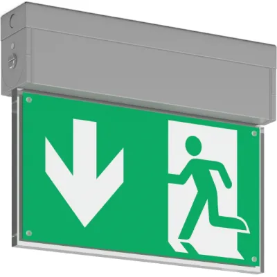 RZB LED-Notleuchte 671983.004.2 | Rettungszeichenleuchte | 3,7W | 4000K | 24m | Aluminium silber | Wand- & Deckenmontage