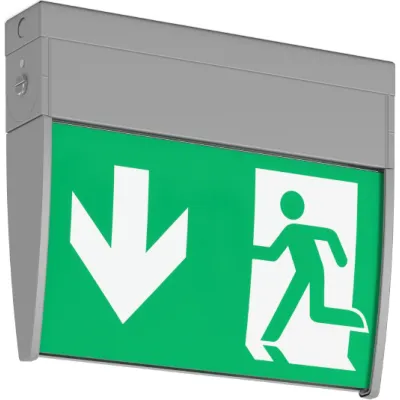 RZB LED-Notleuchte 671996.004.2