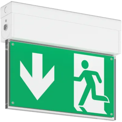 RZB LED-Notleuchte GSUN-S 672217.002.1.07 | Rettungswegkennzeichnung | 4,7W | 4000K | Einzelbatterie | Weiß | IP30