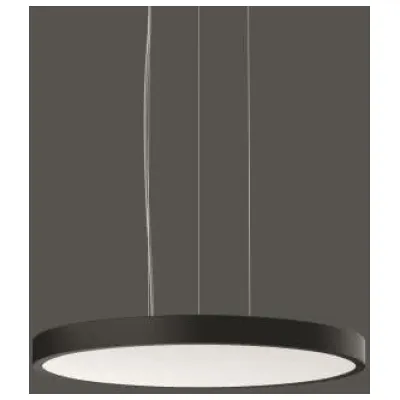 RZB LED-Pendelleuchte DALI, anthr. 312360.0031.2.76