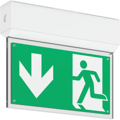RZB LED-Rettungszeichenleuchte 672841.002.F1 | IP54 | Bluetooth | 24m | 4000K | 3h Akku | Weiß