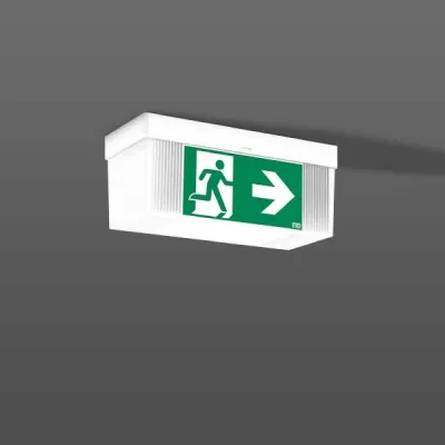 RZB LED-Sicherheitsleuchte 3h,21m, weiß 671819.002.1