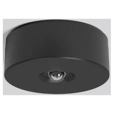 RZB LED-Sicherheitsleuchte 672527.003.F1 LUCIO 2 | Rettungswegbeleuchtung | Deckenanbau | 4000K | 240lm | IP20 | schwarz