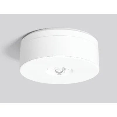 RZB LED-Sicherheitsleuchte 672527.002.F1 | Notleuchte Deckenmontage | 0,3W | 4000K | IP20 | 8h Akku | Ø110mm | weiß