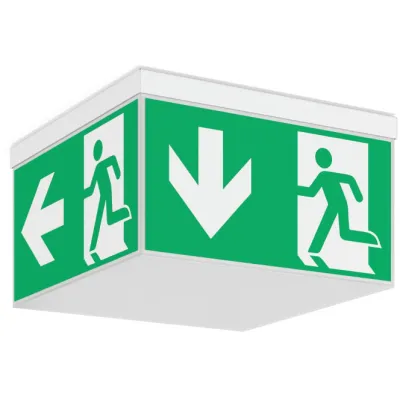 RZB LED-Sicherheitsleuchte EB 3h, 765, weiß 672300.002.1