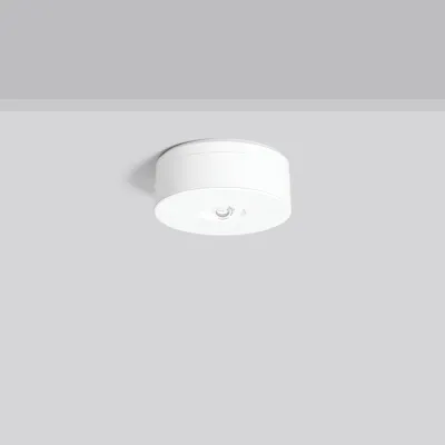 RZB LED-Sicherheitsleuchte EB, 8 h, DALI-Sibe 672527.002.07