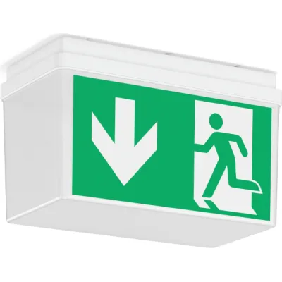 RZB LED-Sicherheitsleuchte GSUN 3 672521.002 | 4W | 4000K | 200lm | 8h Notlicht | IP54 | Wand/Decke | Piktogramm | weiß