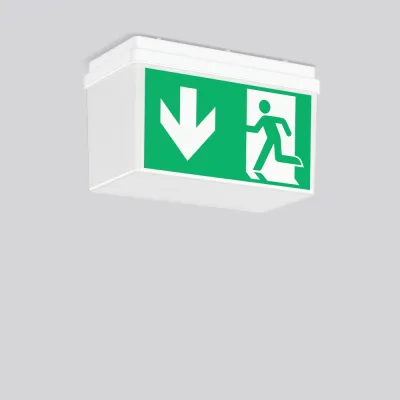 RZB LED-Sicherheitsleuchte GSUN 3 672521.002 | 4W | 4000K | 200lm | 8h Notlicht | IP54 | Wand/Decke | Piktogramm | weiß