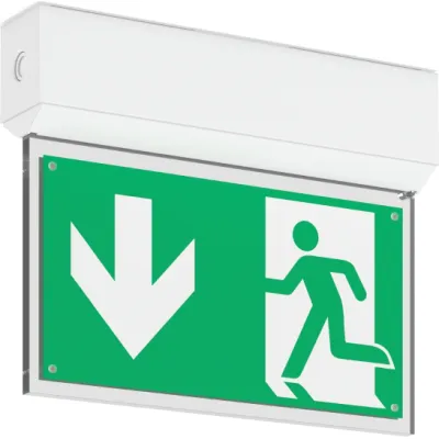 RZB Exeo S LED-Notleuchte | 4W | 4000K | 3h | IP54 | 24m | Selbsttest | Wand/Decke | weiß