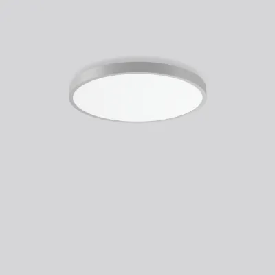 RZB LED-Wand-/Deckenleuchte DALI silber 312383.004.2.76