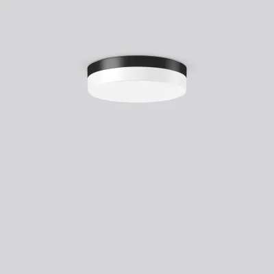 RZB LED Anbauleuchte 312630.0031 FLAT SLIM rund | 20W | 3000-4000K | IP65 | 3000lm | Ø30cm | Aluminium anthrazit