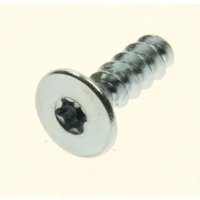 Saeco Kaffeemaschine Torx Schraube 3,5x12 verzinkt