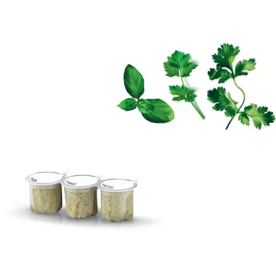 Samenkapsel Set Petersilie Basilikum PakChoi Bosch MSGZT001N 17008489