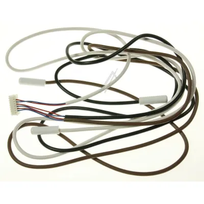 Satz, Fühler (2425183171)