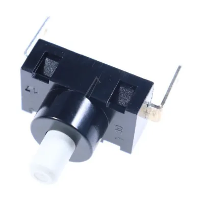 Schalter (4055360541)