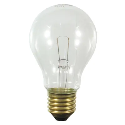 Scharnberg Backofenlampe AGL B60x105 E27 24V 100W 300 29942