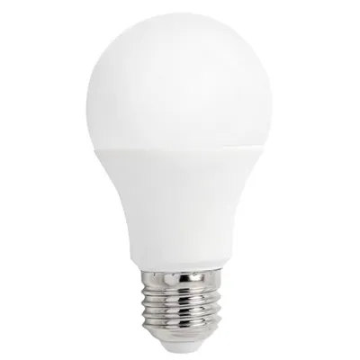 Scharnberg LED-Lampe E27 6000K 32569