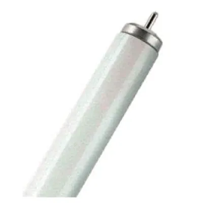 Scharnberg Leuchtstofflampe T12 FA6 40W/640 für Ex 45237