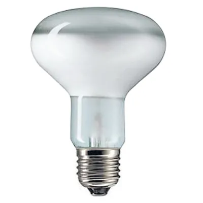 Scharnberger+Hasenbein Reflektorlampe R80 41574 | 60W E27 230V | Wide Flood 80° | mattiert | Silber | 80x110mm