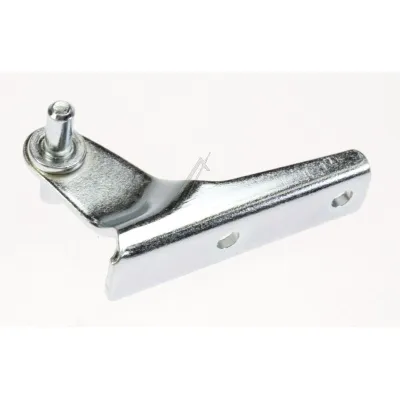 Scharnier, Mitte (2250205016)