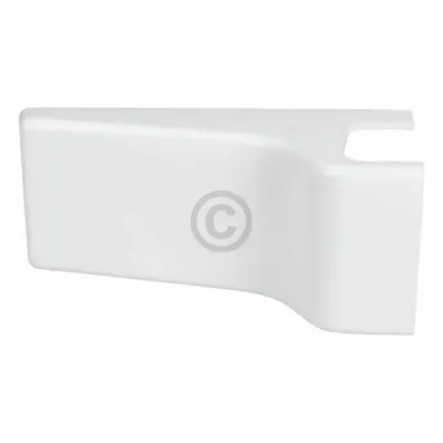 Scharnierabdeckung 7350189 C00315526 481241778105 