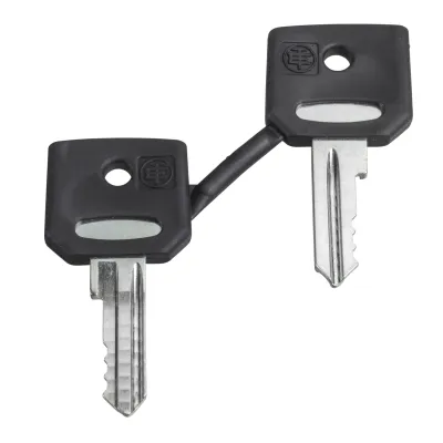 Schneider Electric Ersatzschlüssel ZBD8D1 Nr. 8D1 | für Schlüsselschalter Harmony XB4 XB5 | 2 Stück | Zubehör