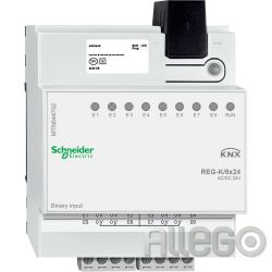 Schneider Binäreingang REG-K/8x24,lichtgrau MTN644792