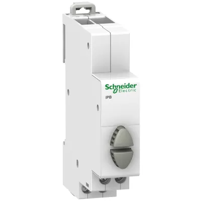 Schneider Electric Taster für Reiheneinbau A9E18035 | Doppel-Drucktaster | 2 Schließer | 20A | 250V AC | IP20 | grau