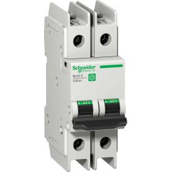 Schneider LS-Schalter 2-polig 15A C-Char M9F42215