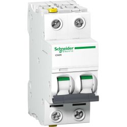 Schneider LS-Schalter 2P 20A C IC60N A9F04220