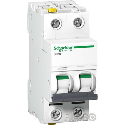 Bild: Schneider LS-Schalter 2P 4A C IC60N A9F04204