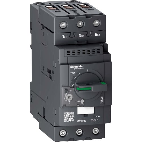 Bild: Schneider Motorschutzschalter 70-80A GV3P80