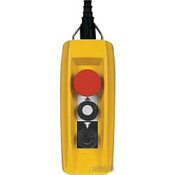 Schneider XACB3291 HAENGETASTER 2BEF.ST.