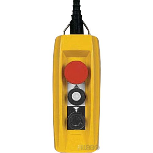 Bild: Schneider XACB3291 HAENGETASTER 2BEF.ST.