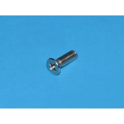 Schraube HK1099078 für Hisense/Gorenje Kühlschrank M4x16 Spezialflansch