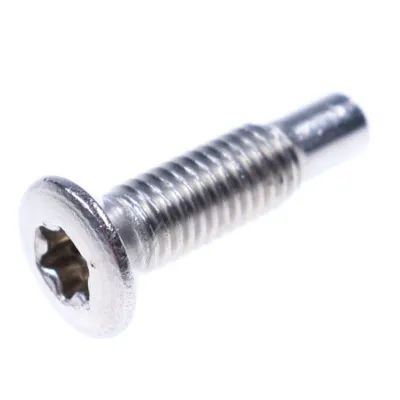 Schraube M5x19,5 für Geschirrspüler Hisense/Gorenje 872525 Torx25