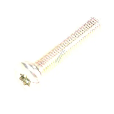 Schraube M5x30 T20 für Kühlschrank Liebherr 408404200 Befestigung Torx