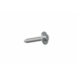 Schraube Siemens 00170215 Torx® für Türbefestigungsschiene oben Kühlschrank