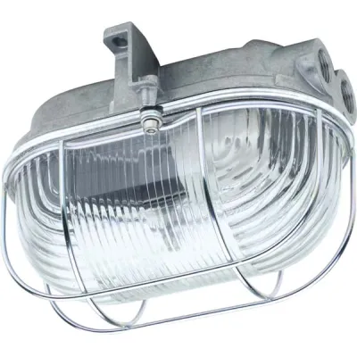 SCHUCH Ovalleuchte 3610 E27 IP54 | Wandlampe Industrie | Aluminiumgehäuse Schutzkorb | 100W | Glas strukturiert