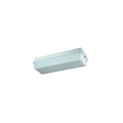 SCHUCH LED-Notleuchte 131 L02/3 W MA | 5W 240lm 3h | IP65 | Selbsttest | Einzelbatterie | 6500K | weiß | schlagfest