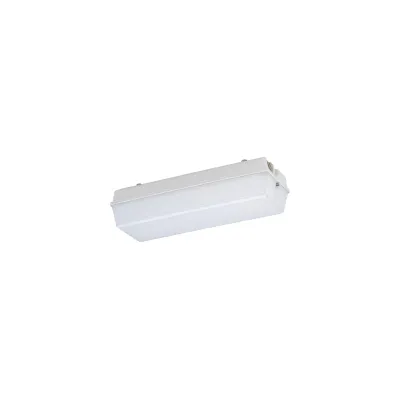 SCHUCH LED-Notleuchte 131 L07G2 ZB | 8W 780lm | 4000K | IP65 | Zentralbatterie | IK08 | Weiß | Rettungswegbeleuchtung