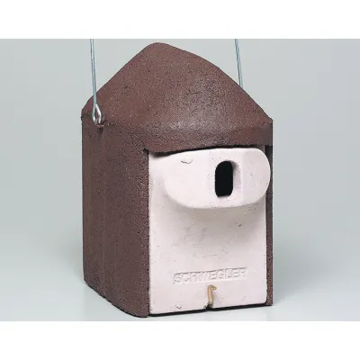 Schwegler Nisthöhle 2GR oval | Vogelnistkasten & Fledermausquartier | Holzbeton | Katzenschutz