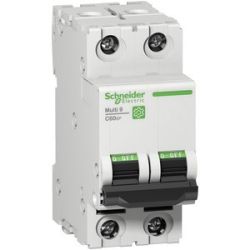 SE M9F22210 Multi 9 OEM LS-Schalter C60SP 2-polig 10A C-Char. 10kA 480Y/277V UL1