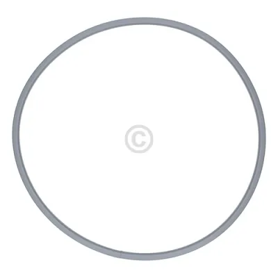 SEAL DOOR;DV90F5E6HGW,TPE,-,-,XR-1045,DA