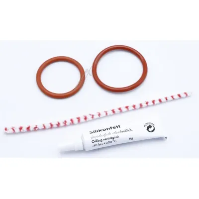 Service-Kit Pflegeset Brühgruppe für Kaffeemaschine Com Reinigung, Dichtungen, S