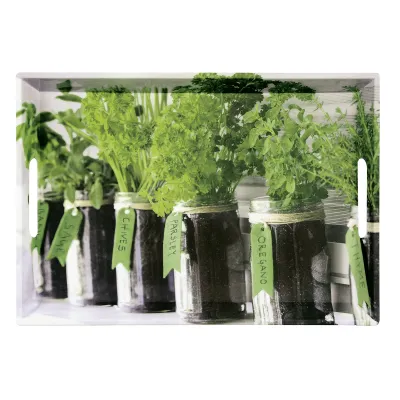 Kesper Serviertablett 77334 | Herbs Design | Melamin | 50x35x4,5 cm | kratzfest | spülmaschinenfest | grün